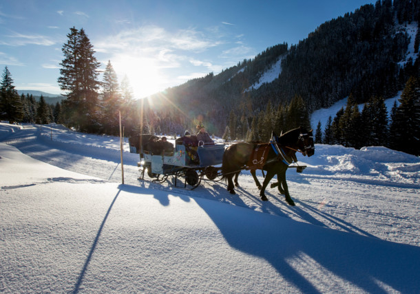     Horse-drawn sleigh ride in Filzmoos 